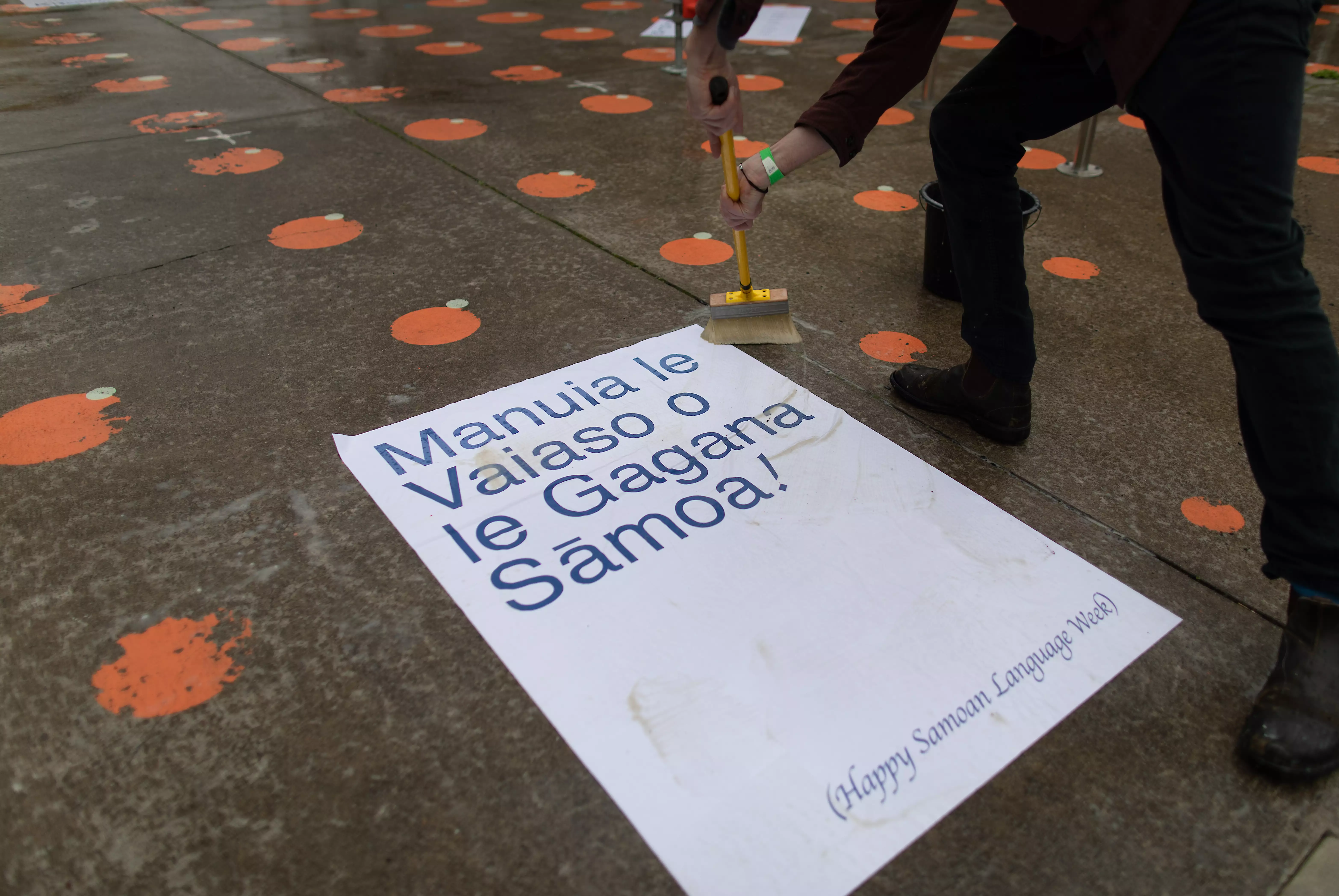 A brush sweeping away glue from a poster installed on the ground promoting Samoan Language Week.